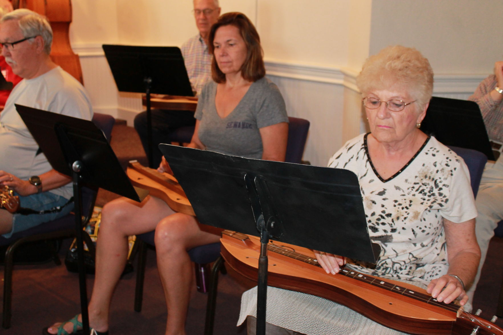 Dulcimers 2